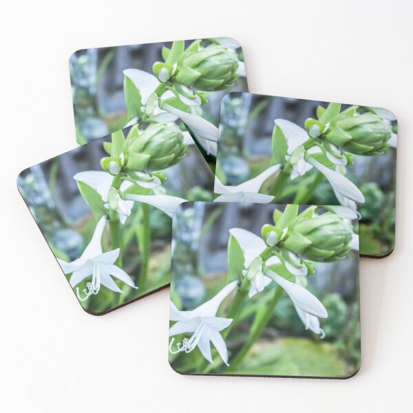 Item preview, White Crocus Flower  designed and sold by PhotosByJG.