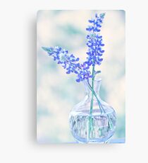 Lupin Canvas Print