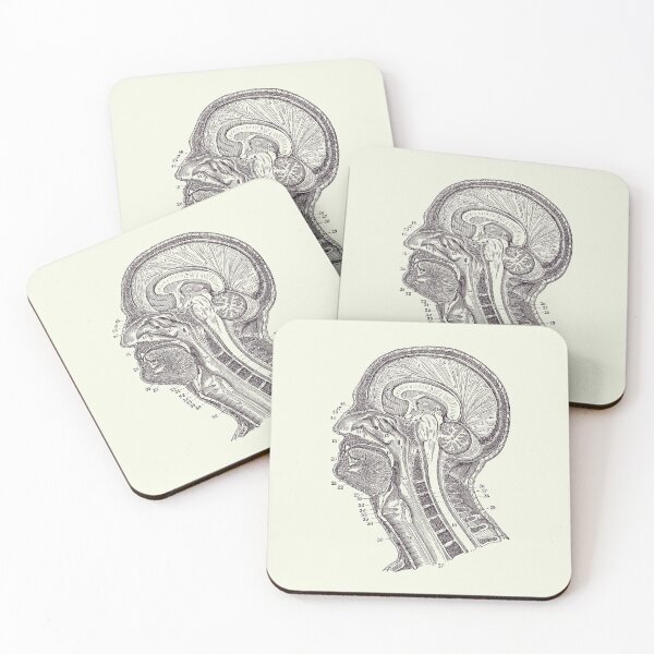 Item preview, Human Brain Structures - Vintage Anatomy Print 2 designed and sold by VAposters.