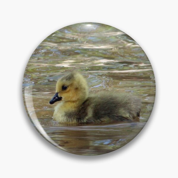 Item preview, Gosling Swimming 2 designed and sold by Susie Kramer.
