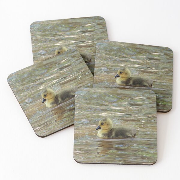 Item preview, Gosling Swimming 2 designed and sold by Susie Kramer.