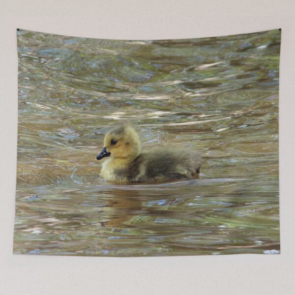 Item preview, Gosling Swimming 2 designed and sold by Susie Kramer.