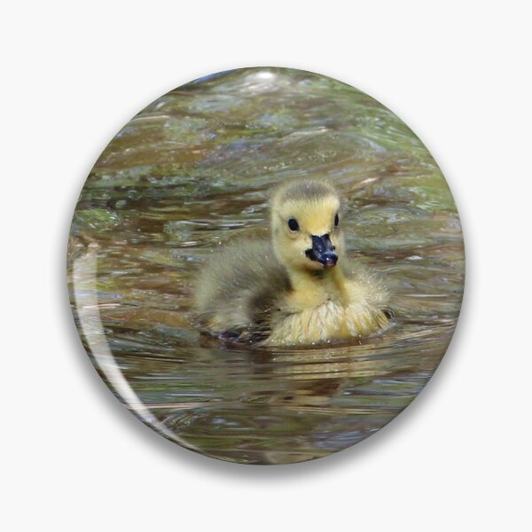 Item preview, Gosling Swimming 3 designed and sold by Susie Kramer.