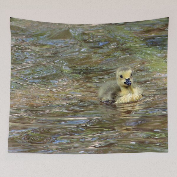 Item preview, Gosling Swimming 3 designed and sold by Susie Kramer.