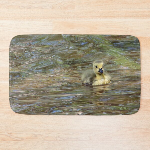 Item preview, Gosling Swimming 3 designed and sold by Susie Kramer.