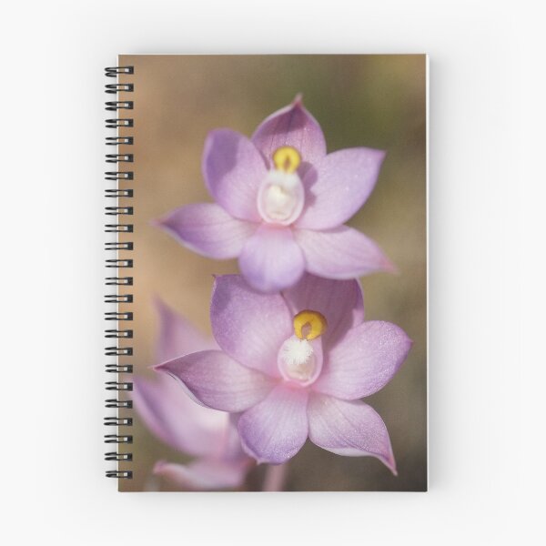 Item preview, Granite Sun Orchid designed and sold by robynart.