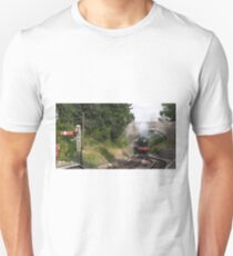 Bradley Manor Unisex T-Shirt