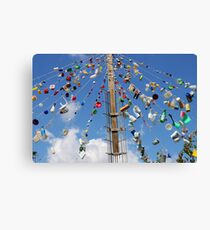 ash-380 Canvas Print