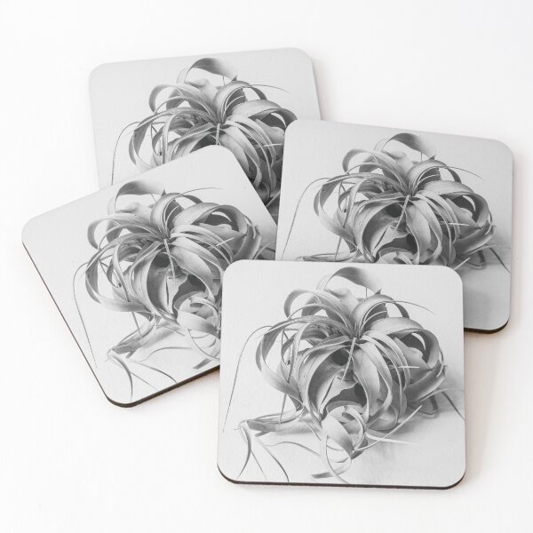 Item preview, Mature Air Plant in Black and White designed and sold by Chee Sim.