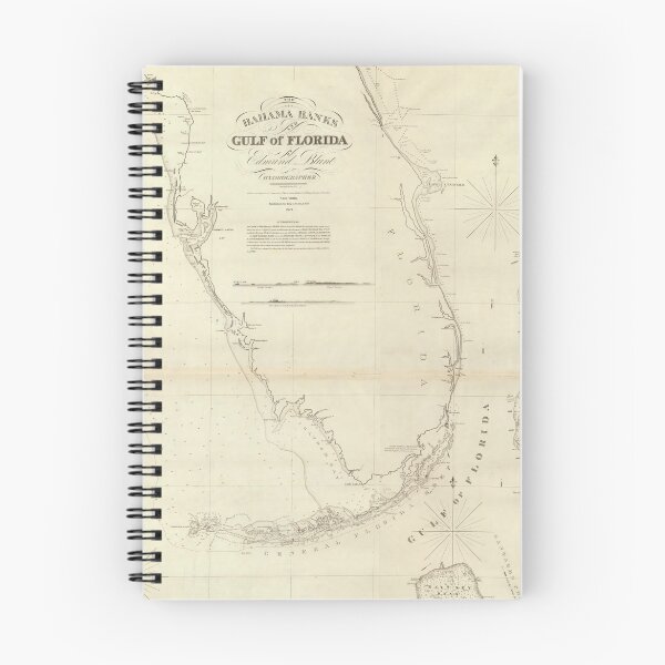 Item preview, Vintage Map of Florida and The Bahamas (1827) designed and sold by BravuraMedia.