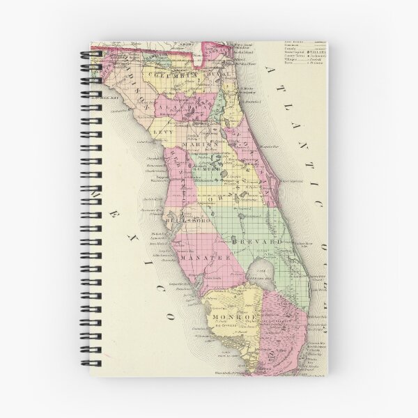 Item preview, Vintage Map of Florida (1856) designed and sold by BravuraMedia.
