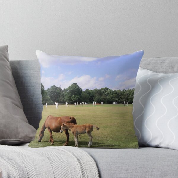 Item preview, Village Cricket designed and sold by Mike Streeter.