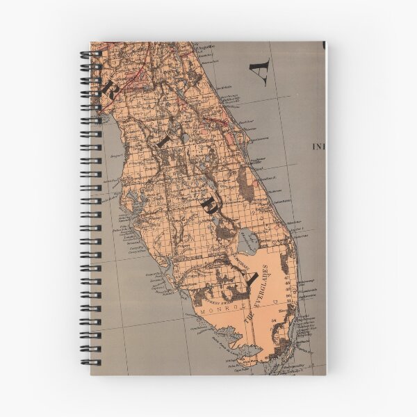 Item preview, Vintage Map of Florida (1878) designed and sold by BravuraMedia.