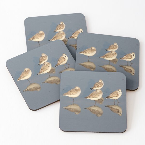 Item preview, Sanderling Snooze designed and sold by Autumn Seas Photography.