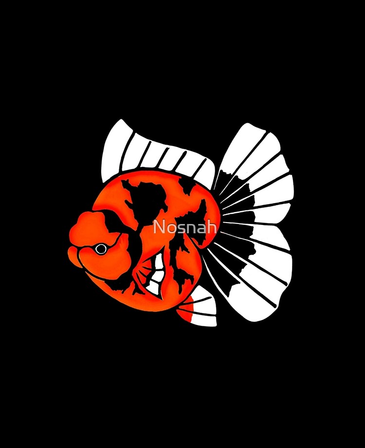 Oranda Apache Goldfisch Logo Im Schwarzen Hintergrund 0326 Ipad Hulle Skin Von Nosnah Redbubble