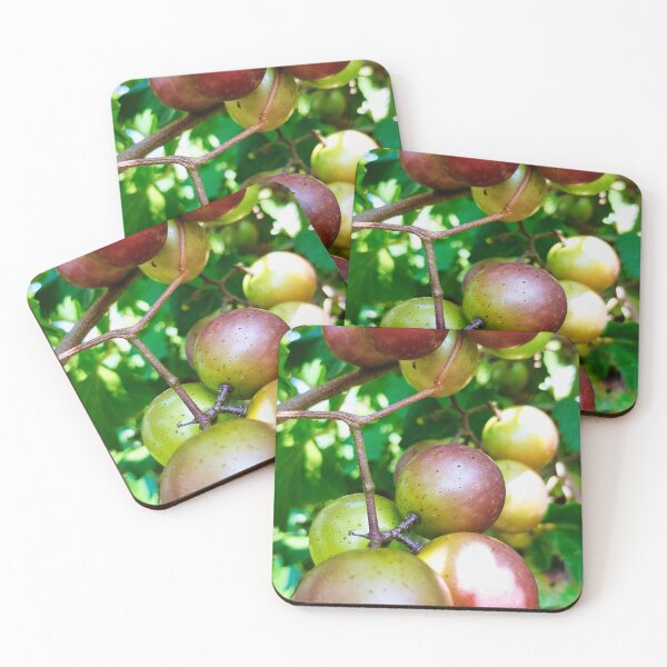 Item preview, Muscadine Grape Vineyard designed and sold by Akitsu.