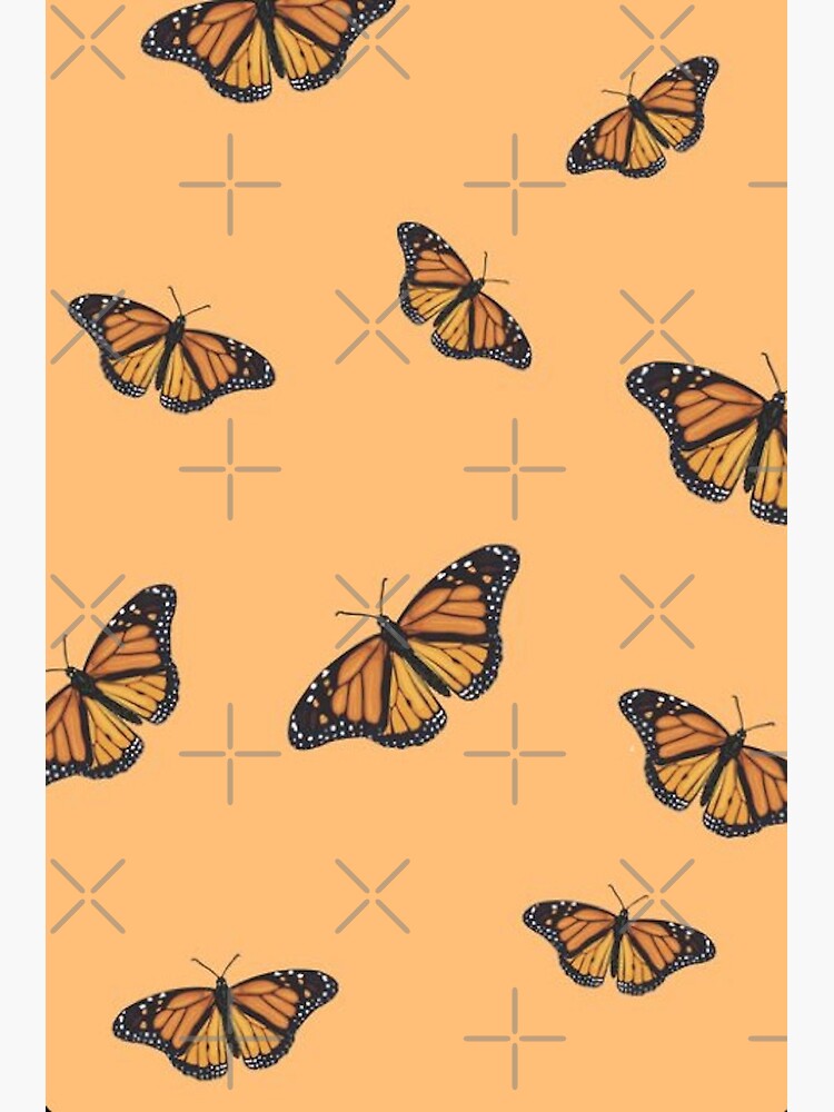 butterfly vsco pattern Poster for Sale by Lovelife360