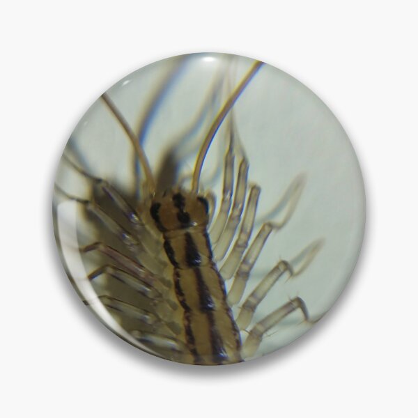 Item preview, House Centipede Nymph designed and sold by Akitsu.