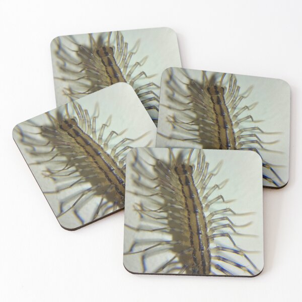 Item preview, House Centipede Nymph designed and sold by Akitsu.