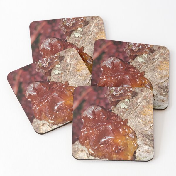 Item preview, Brown Jelly Fungus en árbol designed and sold by Akitsu.