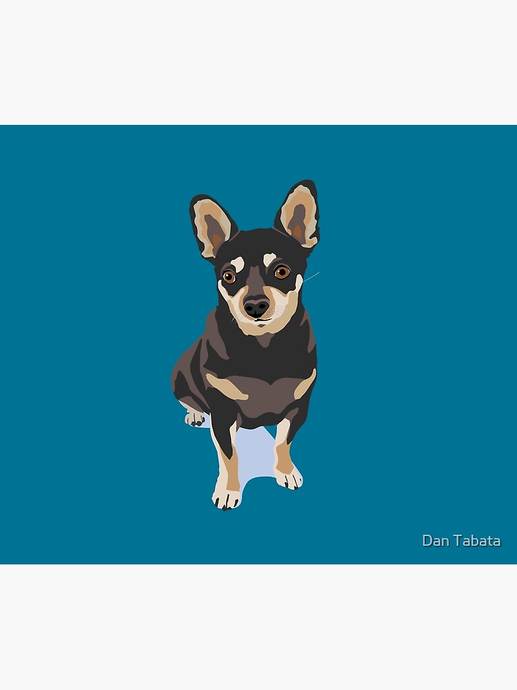 Mr. Mouse the Chihuahua Dog by dmtab