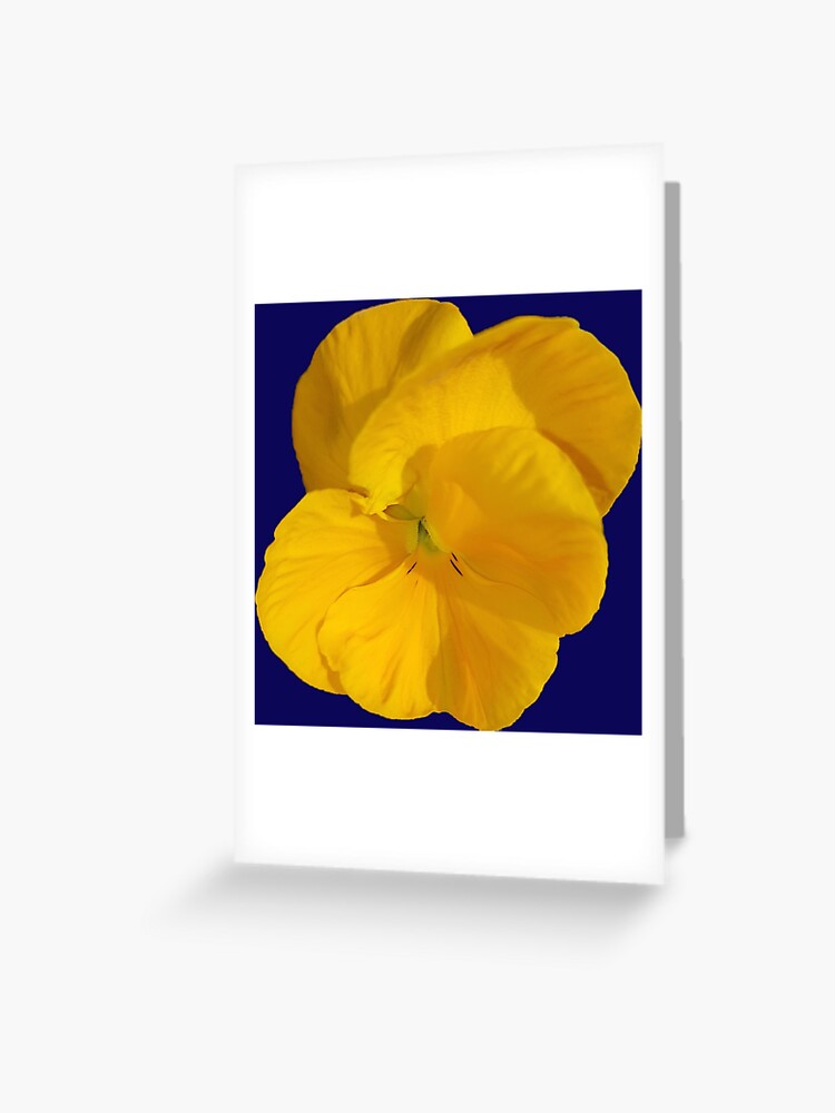 Tarjetas de felicitación «Pensamiento amarillo Flor Pensamiento Pensée» de  josesita | Redbubble