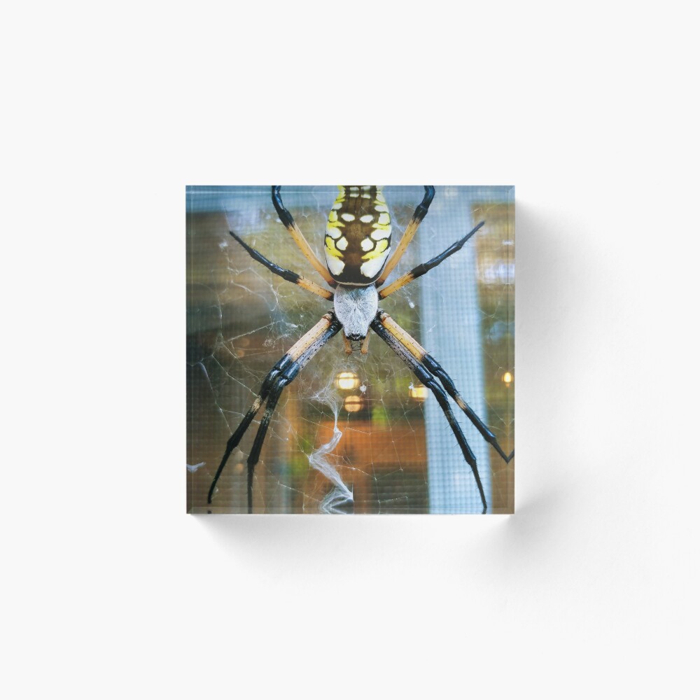 Item preview, Acrylic Block designed and sold by Akitsu.