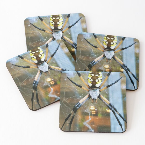 Item preview, Zipper Spider designed and sold by Akitsu.