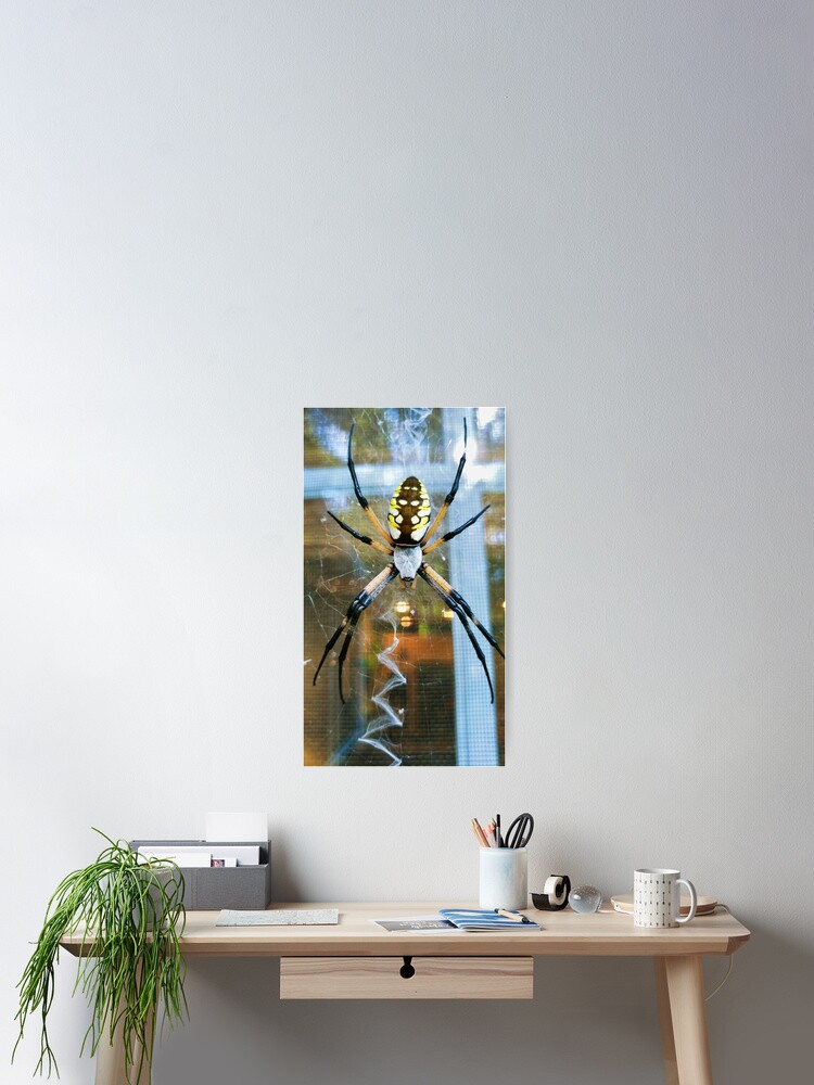 Thumbnail 2 of 3, Poster, Zipper Spider designed and sold by Akitsu.