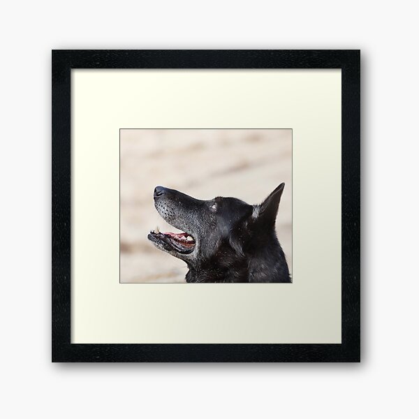 I believe there is something out there watching us. Framed Art Print