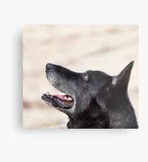 I believe there is something out there watching us. Metal Print