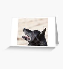 I believe there is something out there watching us. Greeting Card