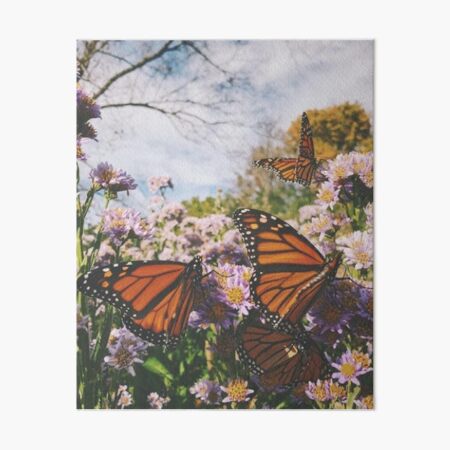 Item preview, butterflies designed and sold by Lovelife360.