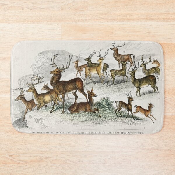 Item preview, Illustration of types of Deer  designed and sold by Vintage Designs +.