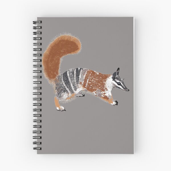 Item preview, Numbat (Myrmecobius fasciatus) by Chrissy Wild designed and sold by ChrissyWild.