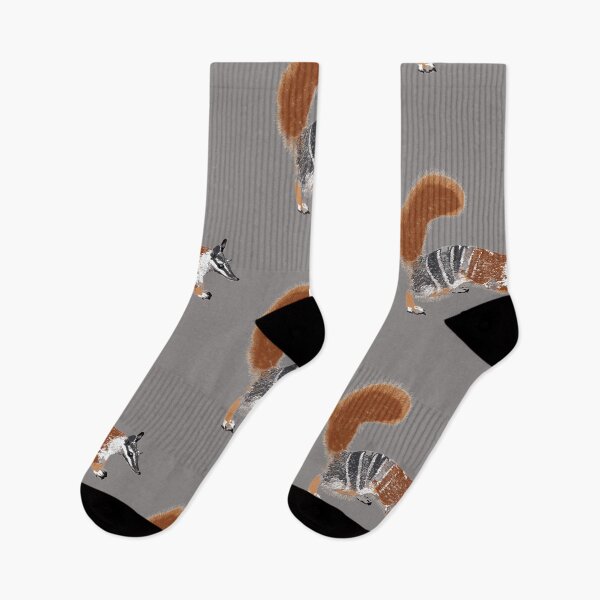 Item preview, Numbat (Myrmecobius fasciatus) by Chrissy Wild designed and sold by ChrissyWild.