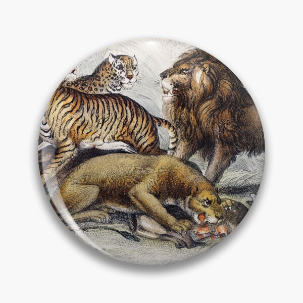 Artikelvorschau, Predatory African big cats Animals vintage illustration  entworfen und verkauft von Vintage Designs +.