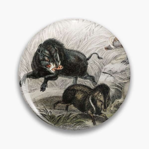 Artikelvorschau, Species of pig and Boar Animals vintage illustration  entworfen und verkauft von Vintage Designs +.