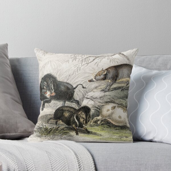 Item preview, Species of pig and Boar Animals vintage illustration designed and sold by Vintage Designs +.