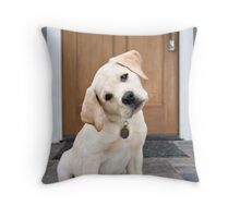 yellow lab throw pillows