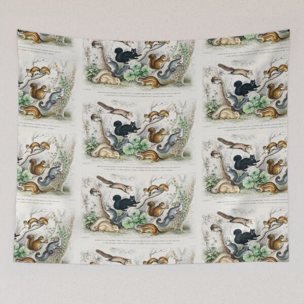 Artikelvorschau, Species of squirrel Animals vintage illustration entworfen und verkauft von Vintage Designs +.