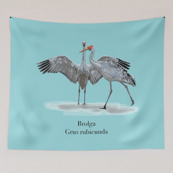 Item preview, Brolga (Grus rubicunda) by Chrissy Wild  designed and sold by ChrissyWild.