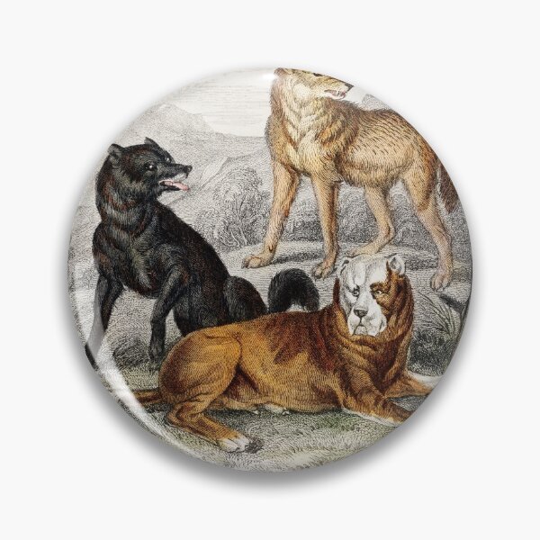 Artikelvorschau, The ancestry of the dog vintage illustration  entworfen und verkauft von Vintage Designs +.