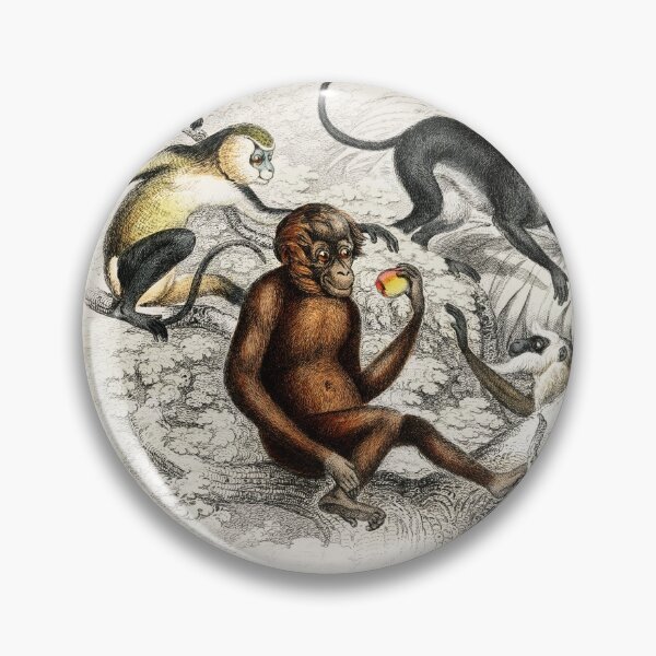 Item preview, Monkey species vintage illustration  designed and sold by Vintage Designs +.