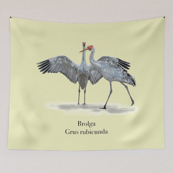 Item preview, Brolga (Grus rubicunda) by Chrissy Wild on grey designed and sold by ChrissyWild.