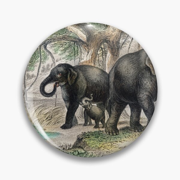 Artikelvorschau, Elephants vintage illustration  entworfen und verkauft von Vintage Designs +.