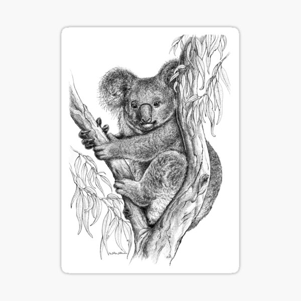 Koala drawing - by Nadya Neklioudova Sticker