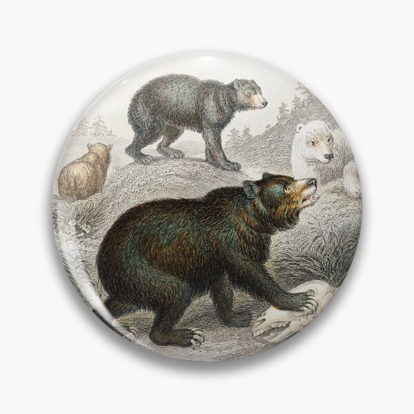 Artikelvorschau, Bear species vintage illustration  entworfen und verkauft von Vintage Designs +.
