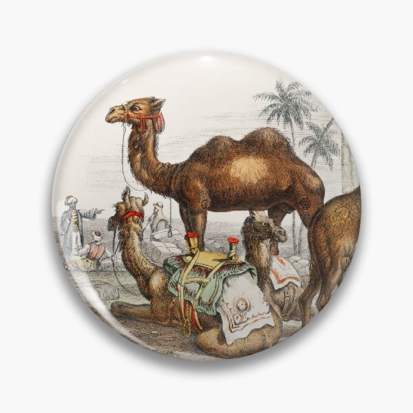 Item preview, Camels species vintage illustration  designed and sold by Vintage Designs +.