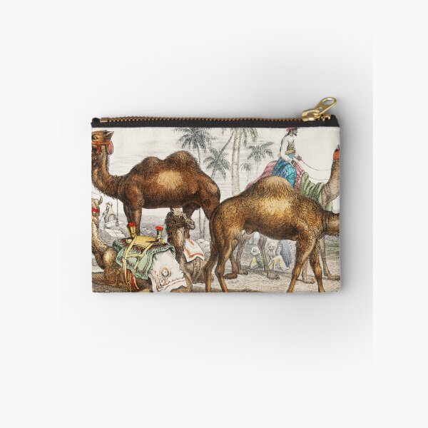 Item preview, Camels species vintage illustration  designed and sold by Vintage Designs +.